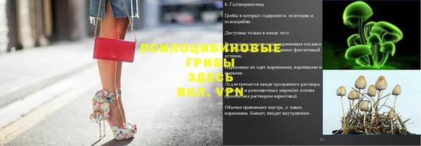 ешки Осташков