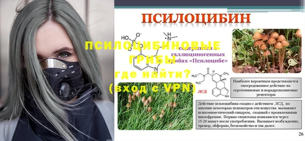 экстази Ветлуга